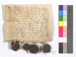 [Text = U / 1332 Oktober 15]. Mit Eid besagt vor Salmann, Kämmerer, und den Richtern Volkmar und Scherpelin. "1333 feria quarta post sanctorum omnium."