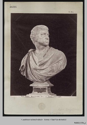 Brutus-Büste