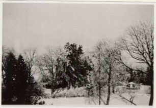 Luisenheim - Evakuierung der Schwestern. Schlosspark Niederstotzingen