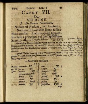 Caput VII. De Nomine.
