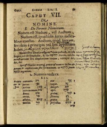 Caput VII. De Nomine.