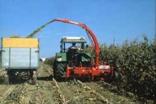 Fotografie: Futtererntetechnik, Maissilage, Maishäcksler angebaut, Parallelverfahren