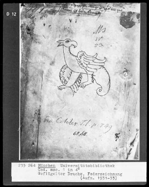 Geflügelter Drache