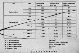 Maisanbauflächen 1980 - 1991