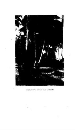 Cocoanut Grove, near Samarai