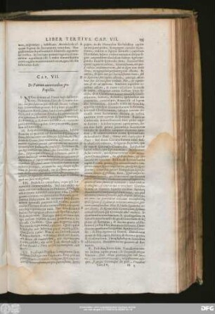 Cap. VII. De Patrum autoritatibus pro Papistis.