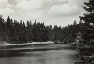 Osterzgebirge. Wüster Teich (Alter Schwarzer Floßteich) südsüdwestlich des Kahleberges (angelegt im 16. Jahrhundert für Flößzwecke im Großen Warmbach- und Weißeritztal)