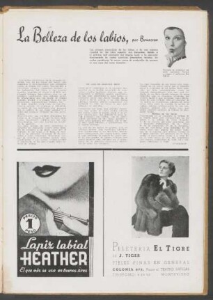 La belleza de los labios