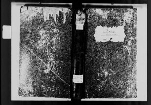 Boxberg, evangelische und israelitische Gemeinde: Standesbuch 1810-1829