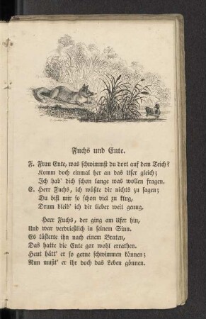 Fuchs und Ente.