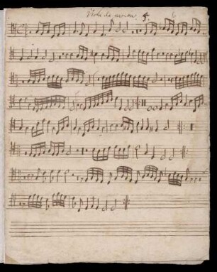 Viola da gamba