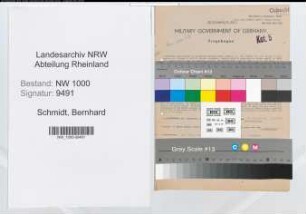 Entnazifizierung Bernhard Schmidt, geb. 21.03.1905 (Veterinaerrat)