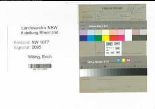Entnazifizierung Erich Witing , geb. 00.00.0000 (Polizist)