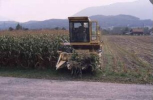 Fotografie: Futtererntetechnik, Maissilage, Feldhäcksler selbstfahrend, Maisgebiss