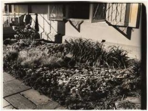 Garten Essberger: Pflanzung unter Fenster