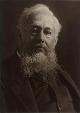 Bildnis Brinckmann, Justus, Kunsthistoriker (1843-1915)