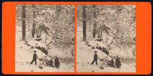 Winterlandschaft : Die Kinder der Familie Kotzsch mit einem Schlitten in einer Winterlandschaft, vorne Franz Kotzsch (*16.05.1879), auf dem Schlitten Hermann Kotzsch (*15.05.1873), hinten Marie Kotzsch (22.03.1869)
