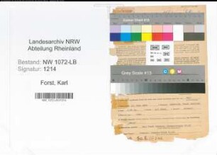 Entnazifizierung Karl Forst , geb. 13.07.1895 (Vertreter)