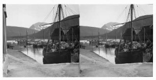 Tromsø/ Norwegen. Im Fischerhafen. Fischkutter im Fischerhafen von Tromsø