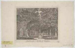 Ansicht von dem Kaisersaal im Schlossgarten von Ludwigslust, Radierung, 1782 : Tab. VI. : Der Kayser Saal in dem Holtz von Ludwigslust = La Salle des Empereurs dans le Bois de Ludwigslust. - Berlin und Stettin : Friedrich Nicolai , [1782]. - 1 Ansicht