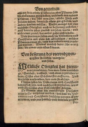 Von besserung des vierundzwentzigsten Artickels/ mangels/ und felhs.