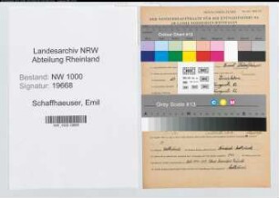Entnazifizierung Emil Schaffhaeuser, geb. 29.12.1910 (Lehrer)