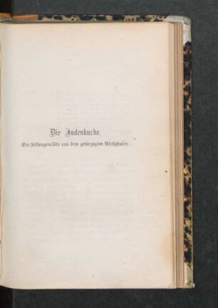 Die Judenbuche. Ein Sittengemälde aus dem gebirgigten Westphalen
