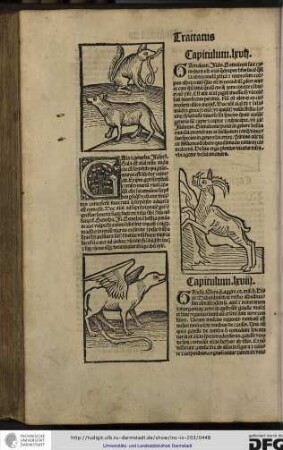 Capitulum lxvii.
