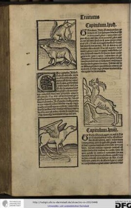 Capitulum lxvii.