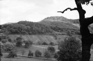 Sitzenkirch: Blick zur Sausenburg (Ast zeigt drauf), St. Johannis Breitehof