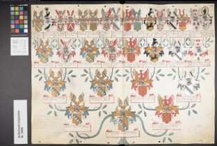 Proband: Oer, Franz Jobst von; Vater: Oer, Hermann von; Mutter: Schloen gen. Tribbe (Chalon gen. Tribbe), Anna Margaretha Christina von: Münster, Fbstm, Ritterschaft