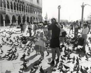 Tauben, Touristen auf der Piazetta