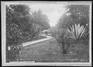 Pomona, Cal. A California Park Scene