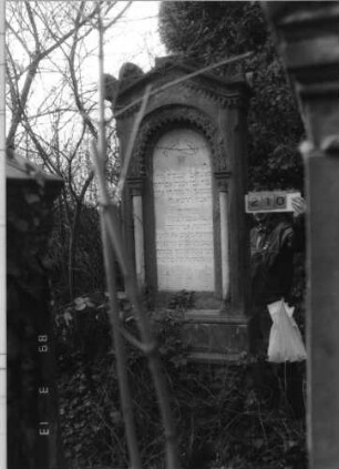 Grabstein 210 (Index: 100093652) Maße HxBxT: 267x88x50 cm Symbolik: Stern, Säulen, Verzierungen: Grabstein 210