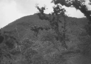 Am Cerro Zempoaltepec : Blick auf das Gebirge und die Vegetation des Cerro Zempoaltepec