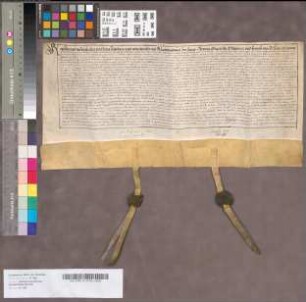 Designationes Pertinentiarum predii Krechtinghoff [im Kirchspiel Bockum], nebst Carte - wie auch designationes Pertinentiarum der vicarien Gründe zu Werne und der übrigen zu Bockum und Hövel gelegenen Grundstücke cum delincatione dieser Grundstücke.