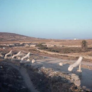 Delos. Blick über die Löwenterrasse am Heiligen See