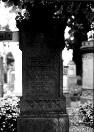 Grabstein 241