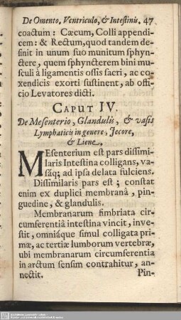 Caput IV. De Mesenterio, Glandulis, & vasis Lymphaticis in genere, Jecore & Liene