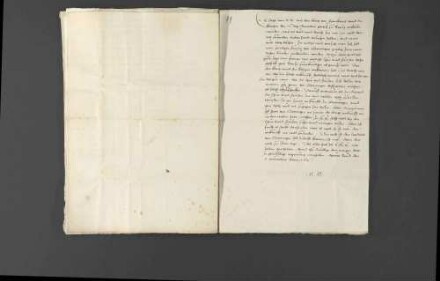 Zeitungsnachrichten über Religionsangelegenheiten in Frankreich, den geplanten Zug des französischen Königs Karl IX. nach Deutschland, Gerüchte über eine Beteiligung des Hauptmanns von Toul an der Ermordung des Heinrich von Ulm sowie die militärischen Werbungen des von Berthi für Louis I. de Bourbon, Fürst von Condé.
