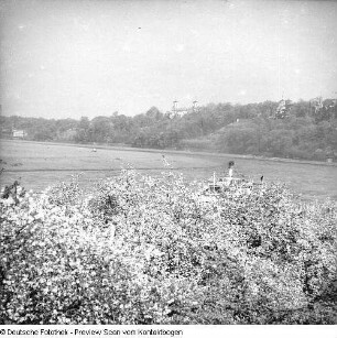 Elbe im Raum Dresden; Elbe Baumblüte Loschwitz