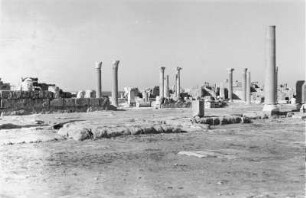 Ruinen von Sabratha : Blick über die Überreste der römischen Stadt Sabratha
