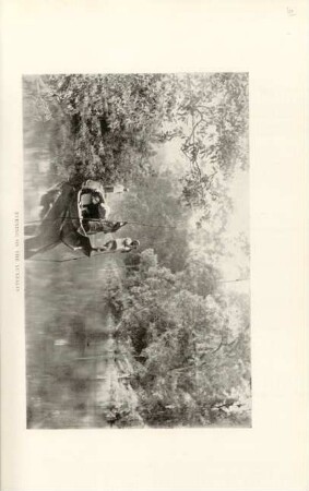 Evening on the Yunzalin