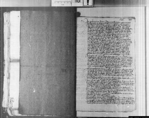 Testament von Witte, Anna