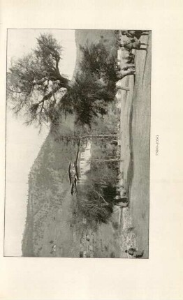 Paro-Jong
