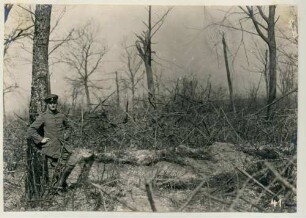 Foto eines französischen Hindernisses im Wald von Ville (-devant-Chaumont)