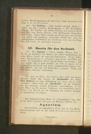 42. Bassin für den Seehund.