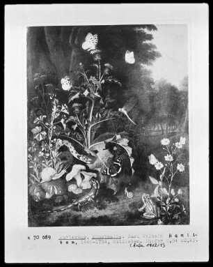 Distel, wilde Blumen, Reptilien und andere Tiere am Waldrand