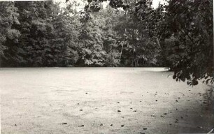 Schlosspark in Neschwitz : Njeswačanski hrodowski park