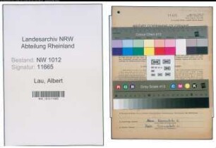 Entnazifizierung Albert Lau , geb. 11.08.1908 (Chemiker)